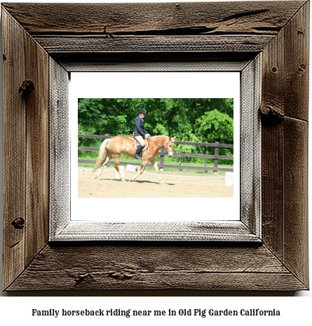 family horseback riding near me in Old Fig Garden, California